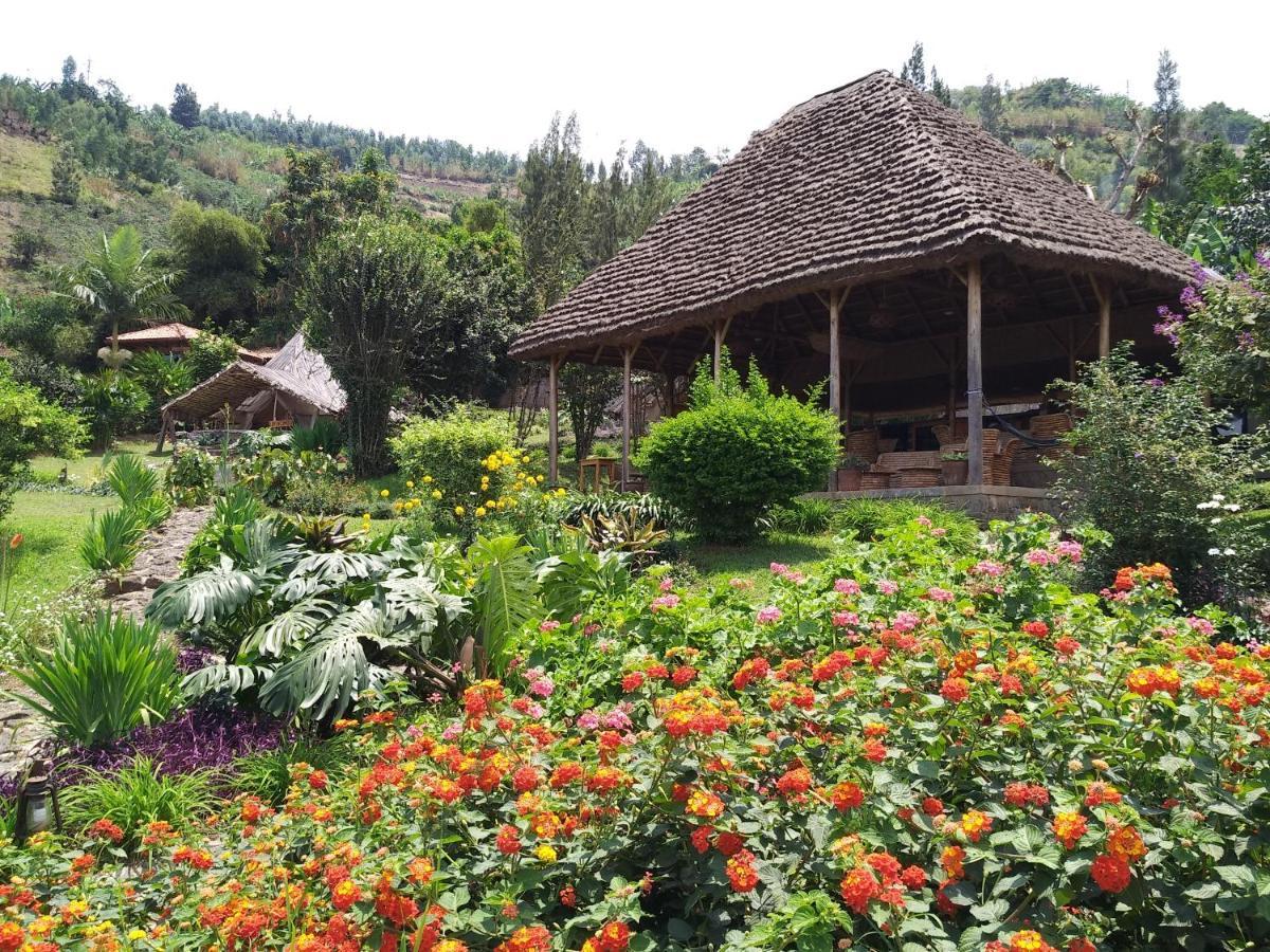 Inzu Lodge Гисеньи Экстерьер фото